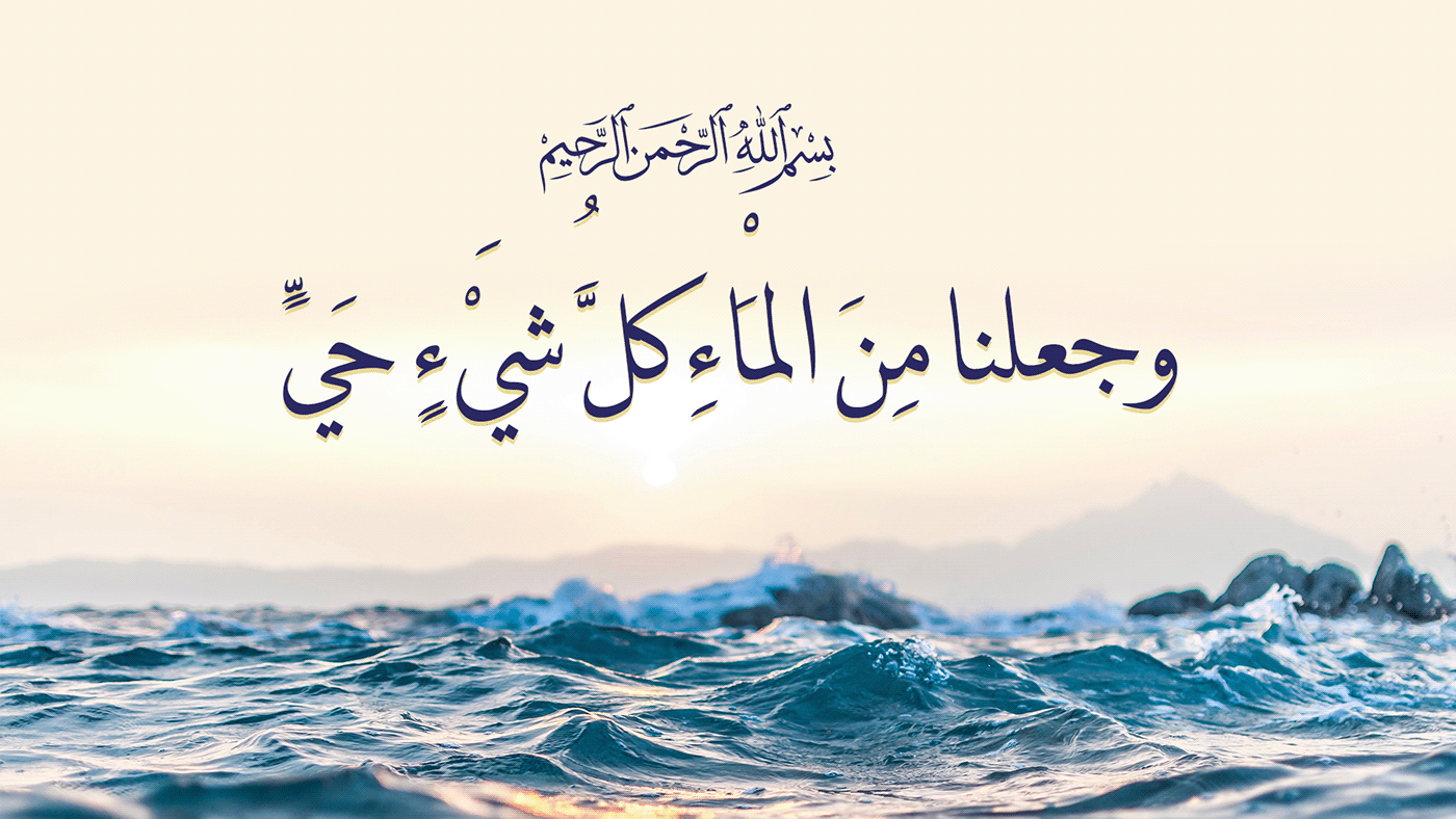 ازاى حققنا اهداف تصميم شعار لشركة Quality And Pure ؟