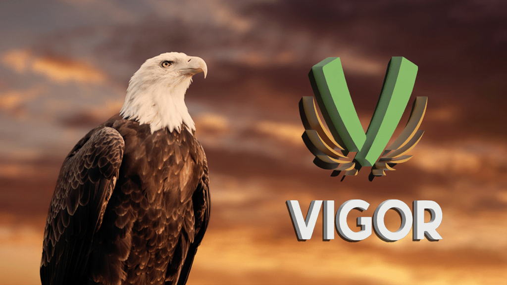 ازاى صممنا لوجو شركة تشطيبات vigor ؟