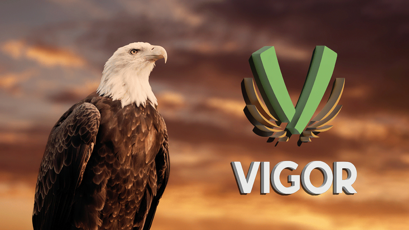 طريقة تصميم لوجو شركة تشطيبات vigor